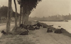 Na Seině – nedaleko Paříže od Alfred Stieglitz