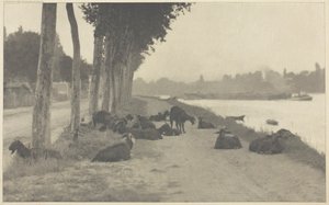 Na Seině — u Paříže, 1894, vytištěno 1897. od Alfred Stieglitz