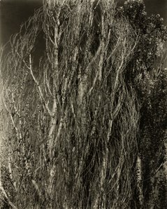 Topoly — jezero George od Alfred Stieglitz
