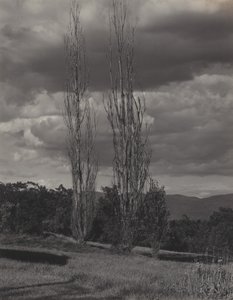 Topoly – Lake George od Alfred Stieglitz