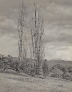  od Alfred Stieglitz