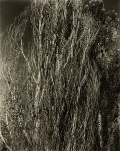 Topoly — jezero George od Alfred Stieglitz