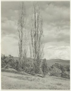 Topoly — jezero George od Alfred Stieglitz
