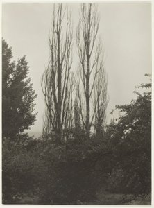 Topoly - jezero George od Alfred Stieglitz