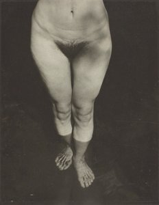Rebecca Salsbury Strand, 1922. od Alfred Stieglitz