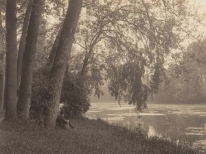 Kreslení v Bois od Alfred Stieglitz