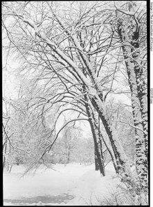 Sněhová krajina, Berlín od Alfred Stieglitz