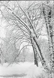Snowscape, Berlín, 188892. od Alfred Stieglitz