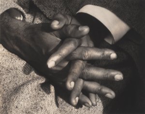 Pán mého pokoje od Alfred Stieglitz