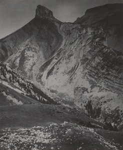  od Alfred Stieglitz