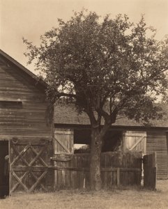  od Alfred Stieglitz