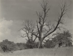 od Alfred Stieglitz