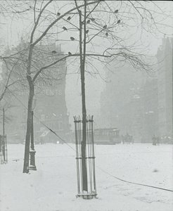 Strom ve sněhu, New York City, 190002. od Alfred Stieglitz