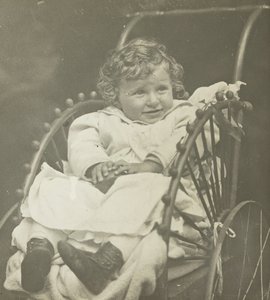 Bez názvu Howard Schubart in Carriage, 1893. od Alfred Stieglitz