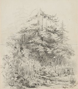 Indian Burial Place, Oregon, 1841 (grafit na dvou sešívaných listech skicáku krémově tkaného papíru) od Alfred Thomas Agate