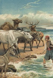 Arabské noci: Historie Beder a Giauhare