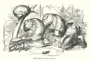  od Alfred Walter (after) Bayes