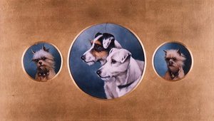 Foxteriéři a jorkšírští teriéři od Alfred Wheeler