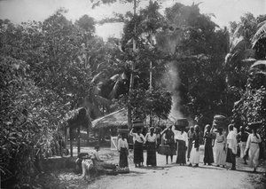 Jungle Village, c1890, 1910 od Alfred William Amandus Plate