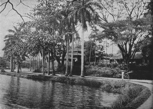 Kandy - malebný kout jezera, c1890, 1910 od Alfred William Amandus Plate