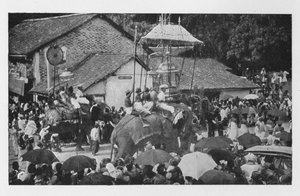 Kandy Perahera. - Průvod slonů prováděný Kandyjskými náčelníky, c1890, 1910