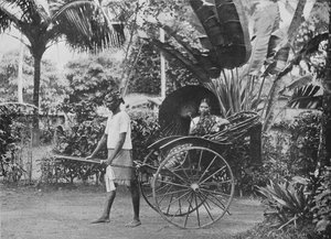 Tamilská dáma v Rickshaw, c1890, 1910