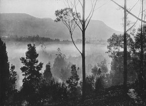 Ranní mlha vycházející v Nuwara Eliya, c1890, 1910 od Alfred William Amandus Plate