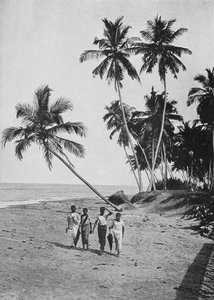 Side of the Silver Sea, c1890, 1910 od Alfred William Amandus Plate