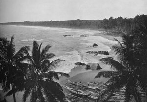Pohled z Mount Lavinia, ukazující kokosové palmy podél pobřeží, c1890, 1910 od Alfred William Amandus Plate