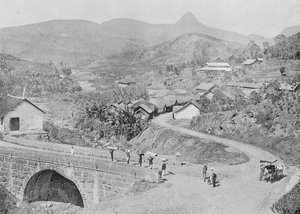Pohled na Maskeliya ukazující Adams Peak, c1890, 1910 od Alfred William Amandus Plate