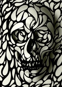 Tvary stínových lebek