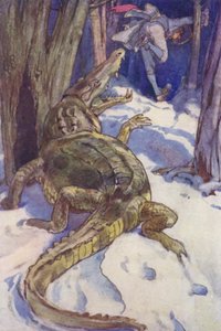 "Krokodýl! Krokodýl!" (barva lito)