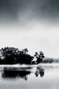 Boissy Morning, 2017 (ručně malovaná fotografie)