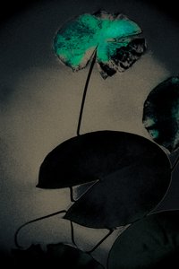 Smaragdové jaro, ze série Jaro, 2020 (ručně malovaná fotografie)