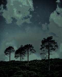 Last Light, 2018 (ručně malovaná fotografie)