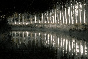 Rendering, 2018 (ručně malovaná fotografie)