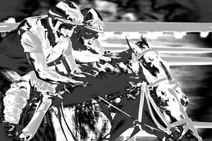 Saratogoa Trials, 2015 (ručně malovaná fotografie)