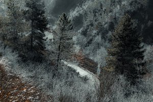 Cesta z Milána, 2018 (ručně malovaná fotografie)