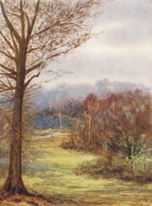  od Alice Julia Argles