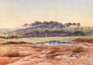  od Alice Julia Argles