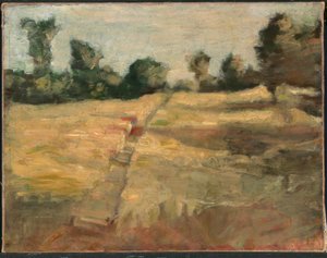 Pole od Alice Pike Barney