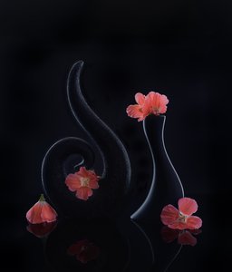  od Alice Sheng