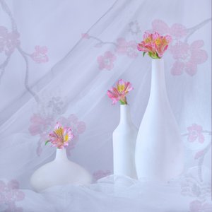  od Alice Sheng