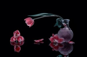  od Alice Sheng