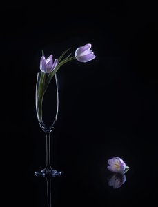  od Alice Sheng