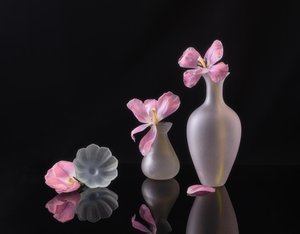  od Alice Sheng