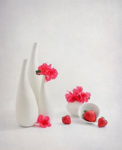  od Alice Sheng