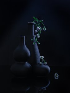  od Alice Sheng