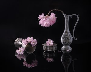  od Alice Sheng