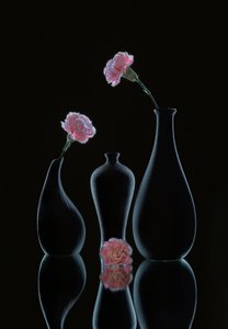  od Alice Sheng